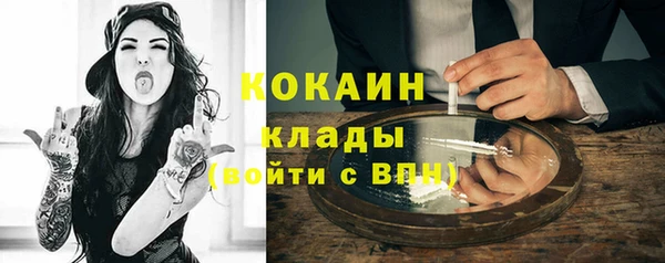 дживик Бронницы