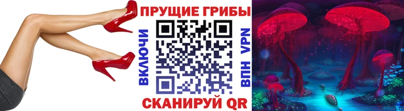 Галлюциногенные грибы прущие грибы  Дигора 